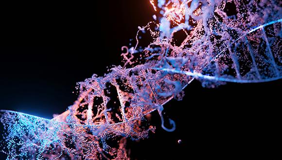 An Algorithm for Clustering Biological Networks