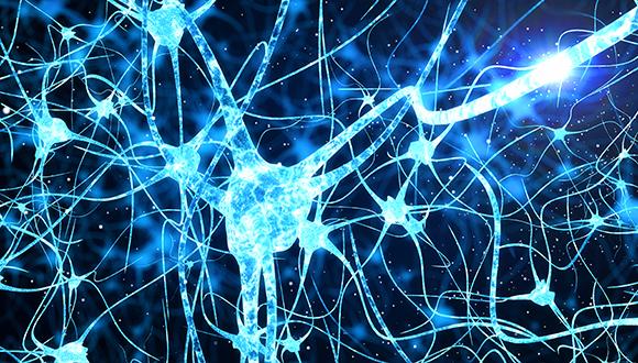 Exploring the effectiveness of novel treatment targeting myelination deficits on Williams Syndrome clinical symptoms